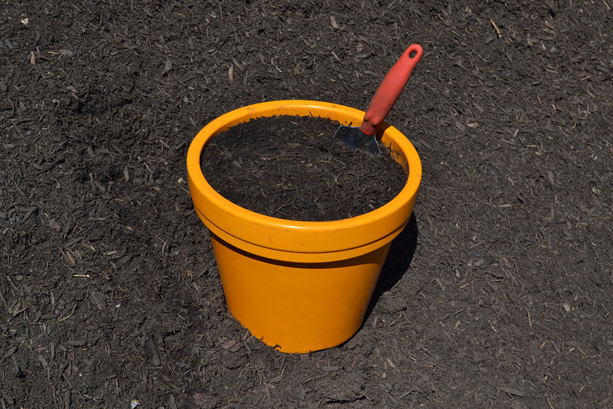 Soil Builder's Organic Compost Soils Plus Soils & Aggregates