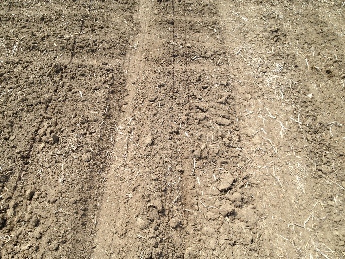 Can I Afford To Buy Farmland? Soil Solutions LLC