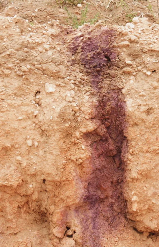 Shifting investment from nutrients to lime and cultivation in acid