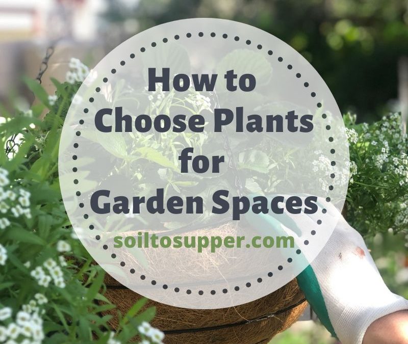 How to Choose Plants for Garden Spaces Soil to Supper