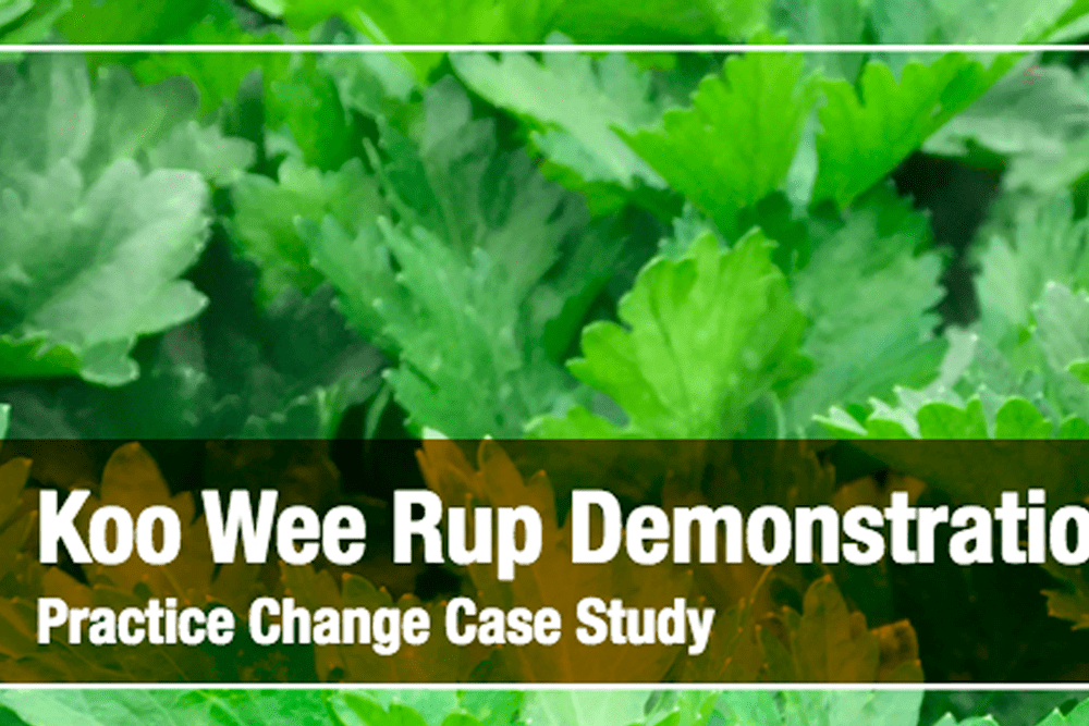 Koo Wee Rup Demonstration Site Practice Change Case Study Soil