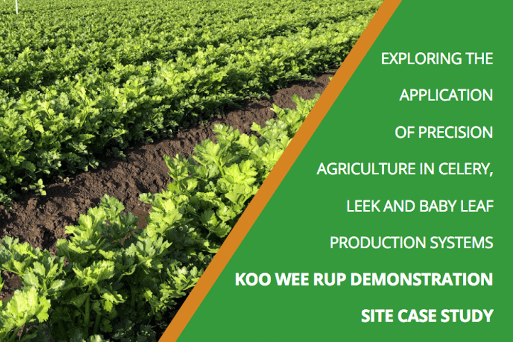 Exploring the application of precision agriculture Koo Wee Rup demonstration site case study