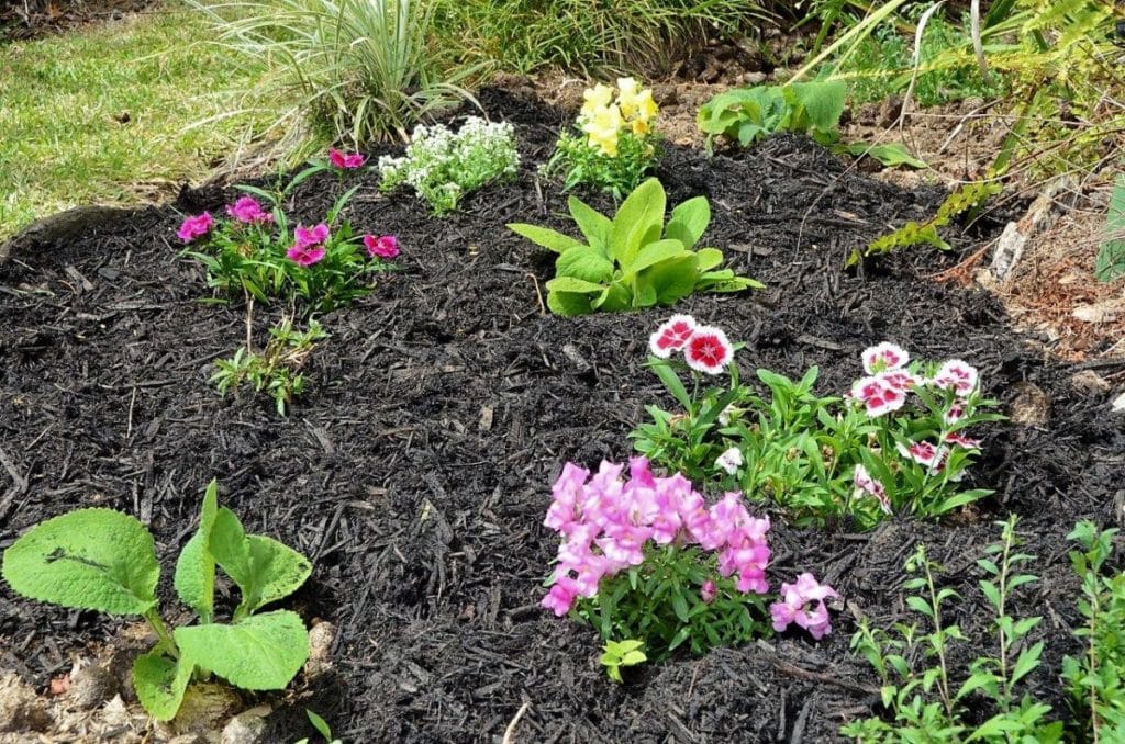 Black Mulch Soil Yourself