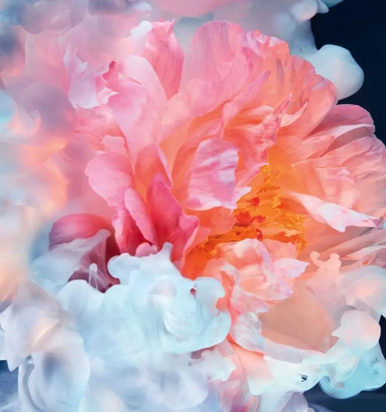 Dior Joy Vs Joy Intense Perfume Soki London