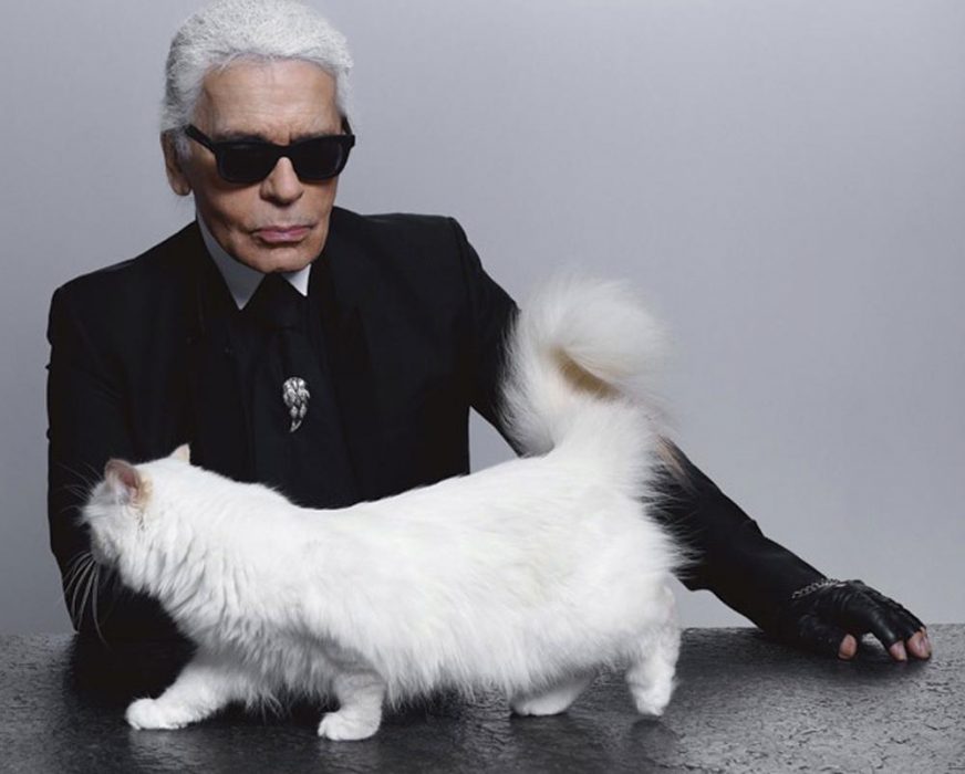 Richest Cat on Earth Late Fashion Designer Karl Lagerfeld Leaves His