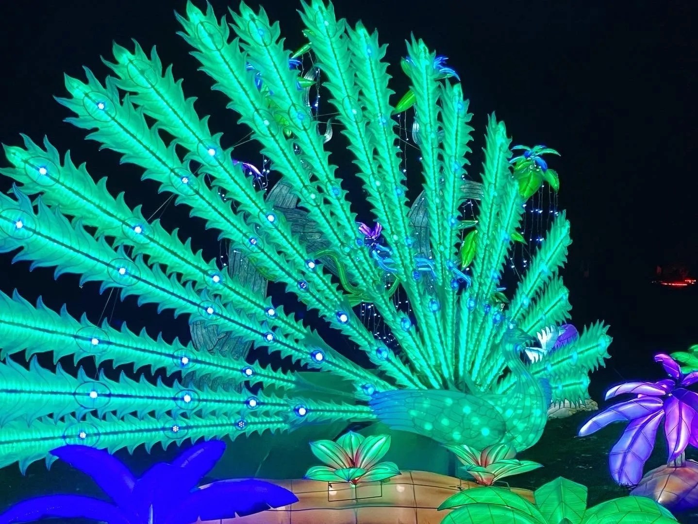 Kitsap County Christmas Light Displays Sol Fed