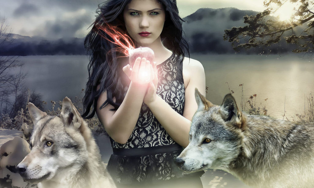 Two Wolves. Native American Legend SOLANCHA