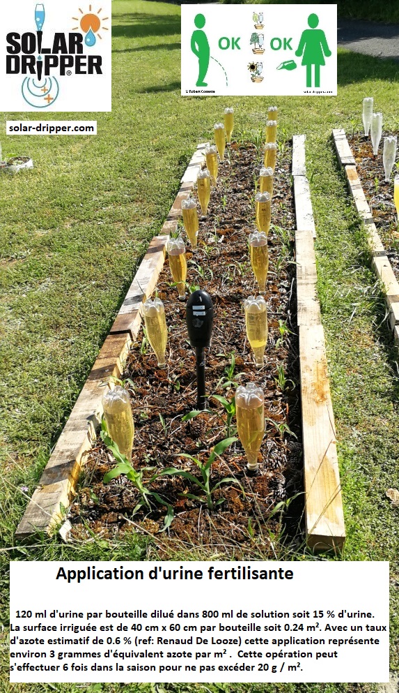 Comment utiliser l'urine au jardin engrais écologique gratuit.