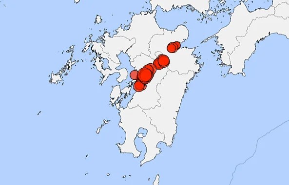 ミツバチに関する興味深い事実 - ミツバチはカースト制で複雑な社会構造を持っています
