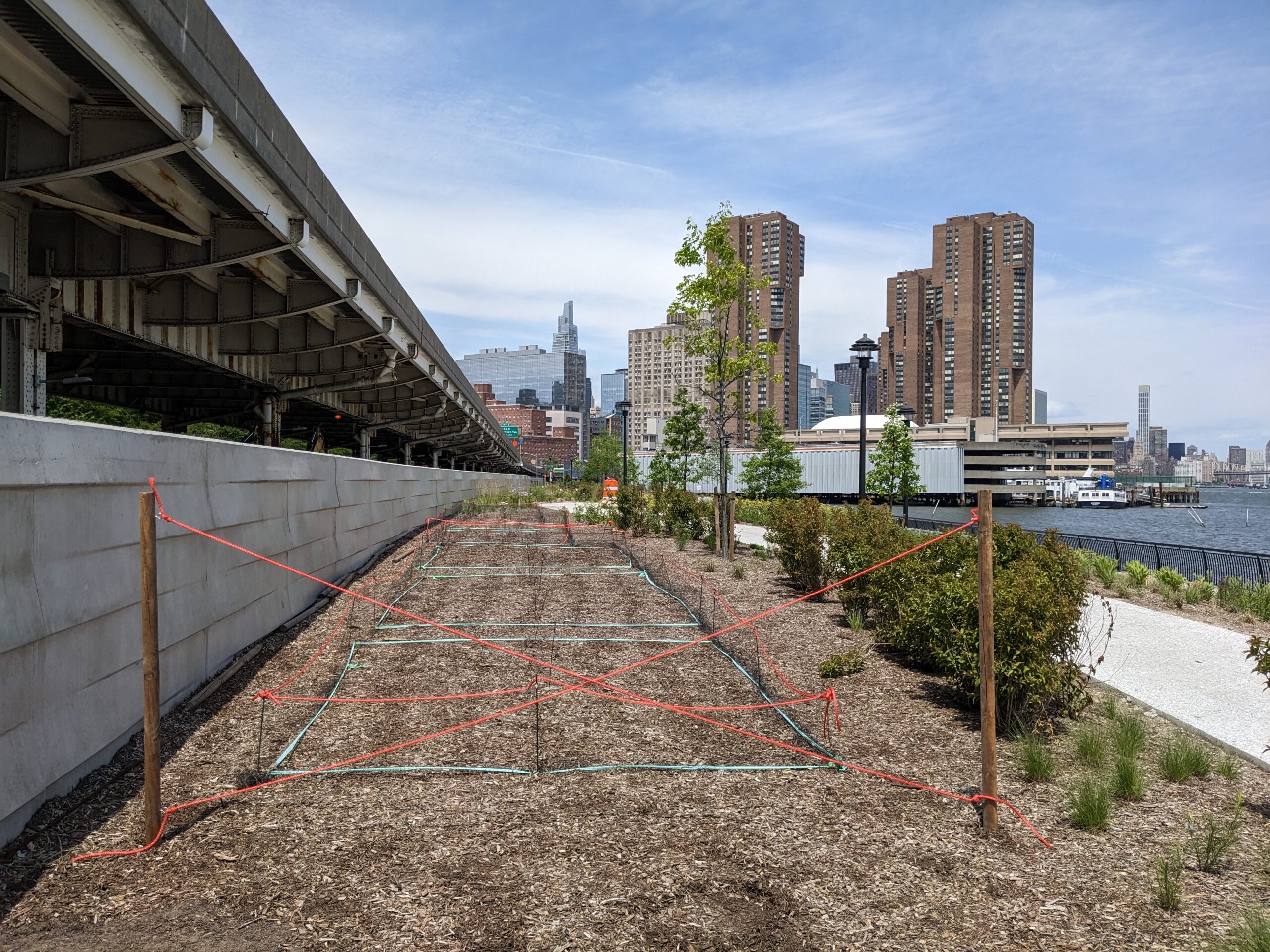 Meet the New Stuy Cove Park Solar One