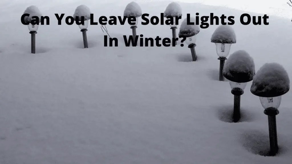 Can You Leave Solar Lights Out In Winter? 7 Superb Tips