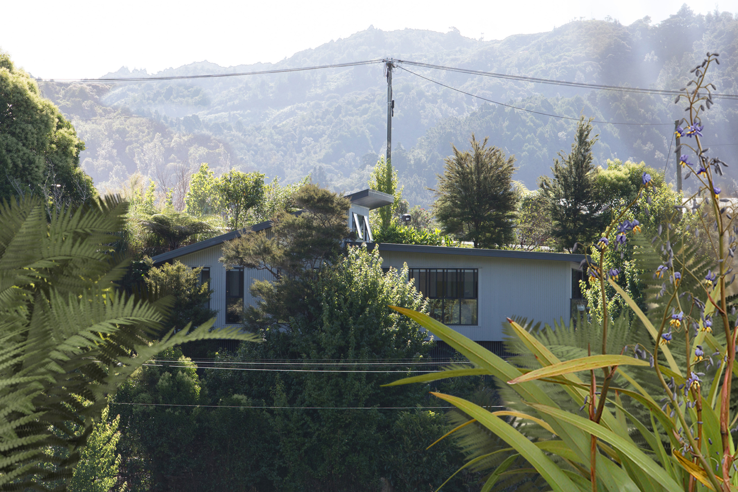 DUNDONALD STREET HOUSE, WHANGAREI, NEW ZEALAND