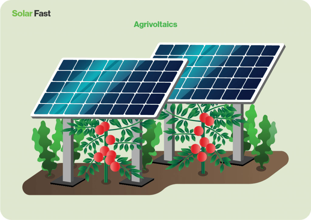 Solar Farms Everything You Need To Know Solar Fast