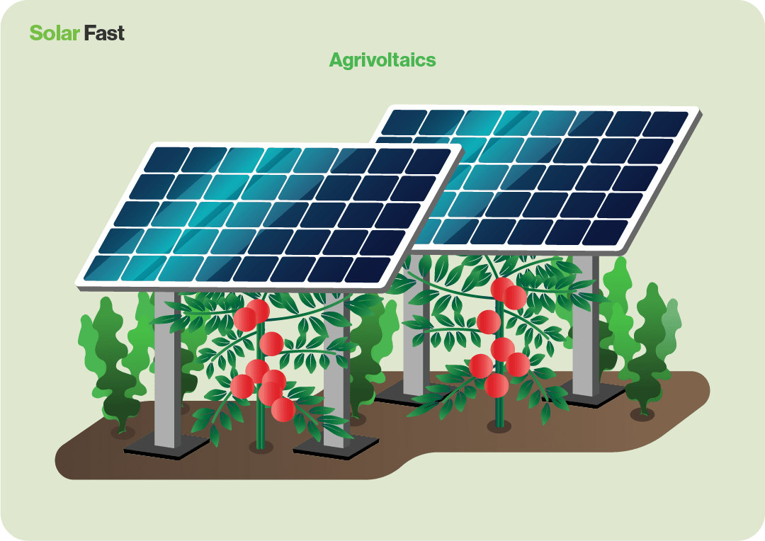 Solar Farms Everything You Need To Know Solar Fast
