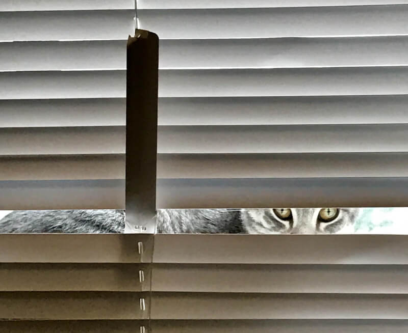 External Shading Devices through History Blinds and Shutters