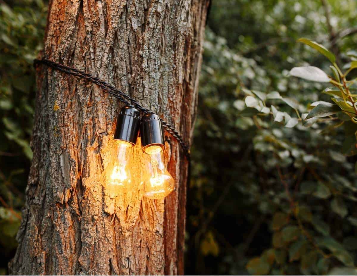 Electrifying Truth Can Solar Lights Electrocute You? Solar Gear Guide