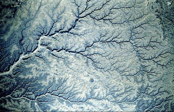 dendritic-river | Solar Graffiti