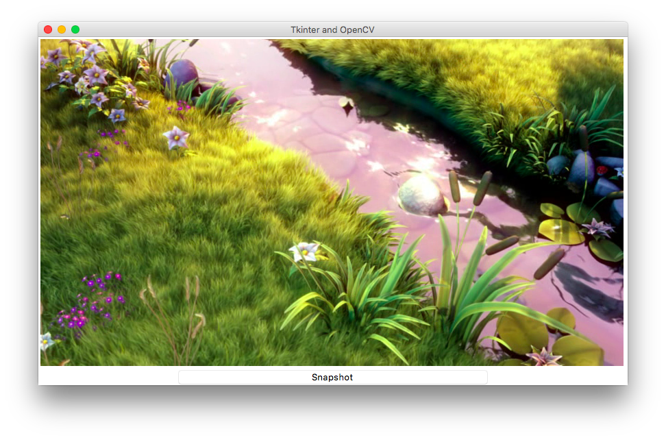 Python OpenCV show a video in a Tkinter window LaptrinhX