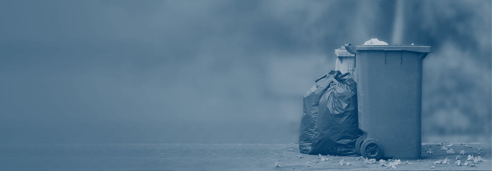 Waste management solutions for sustainable waste disposal