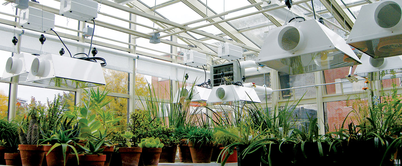 Greenhouses 101 Solar Innovations