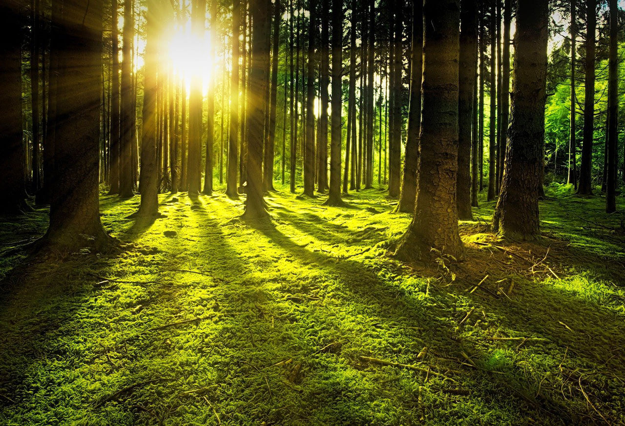 Which Resource Is Both Renewable and Inexpensive Solar Energy