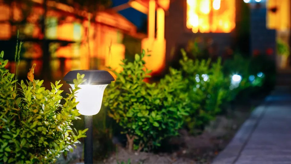 How To Make Solar Garden Lights Brighter? [What Can You Do?]