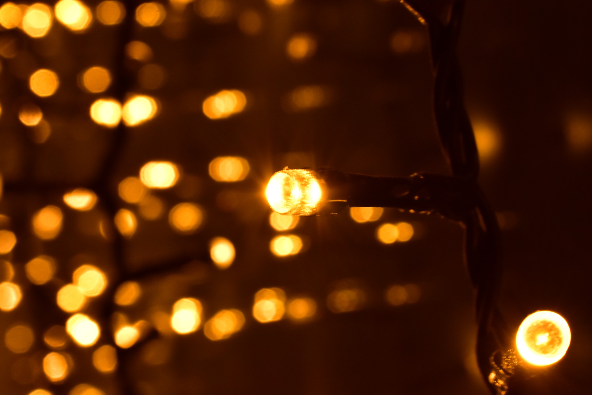 15 Best Solar Powered Mini Lights & Their Reviews [Updated 2022]