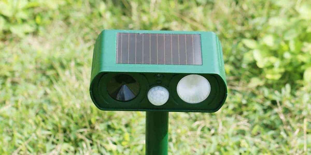 11 Best Rated Solar Animal Repeller Reviews (September 2024)