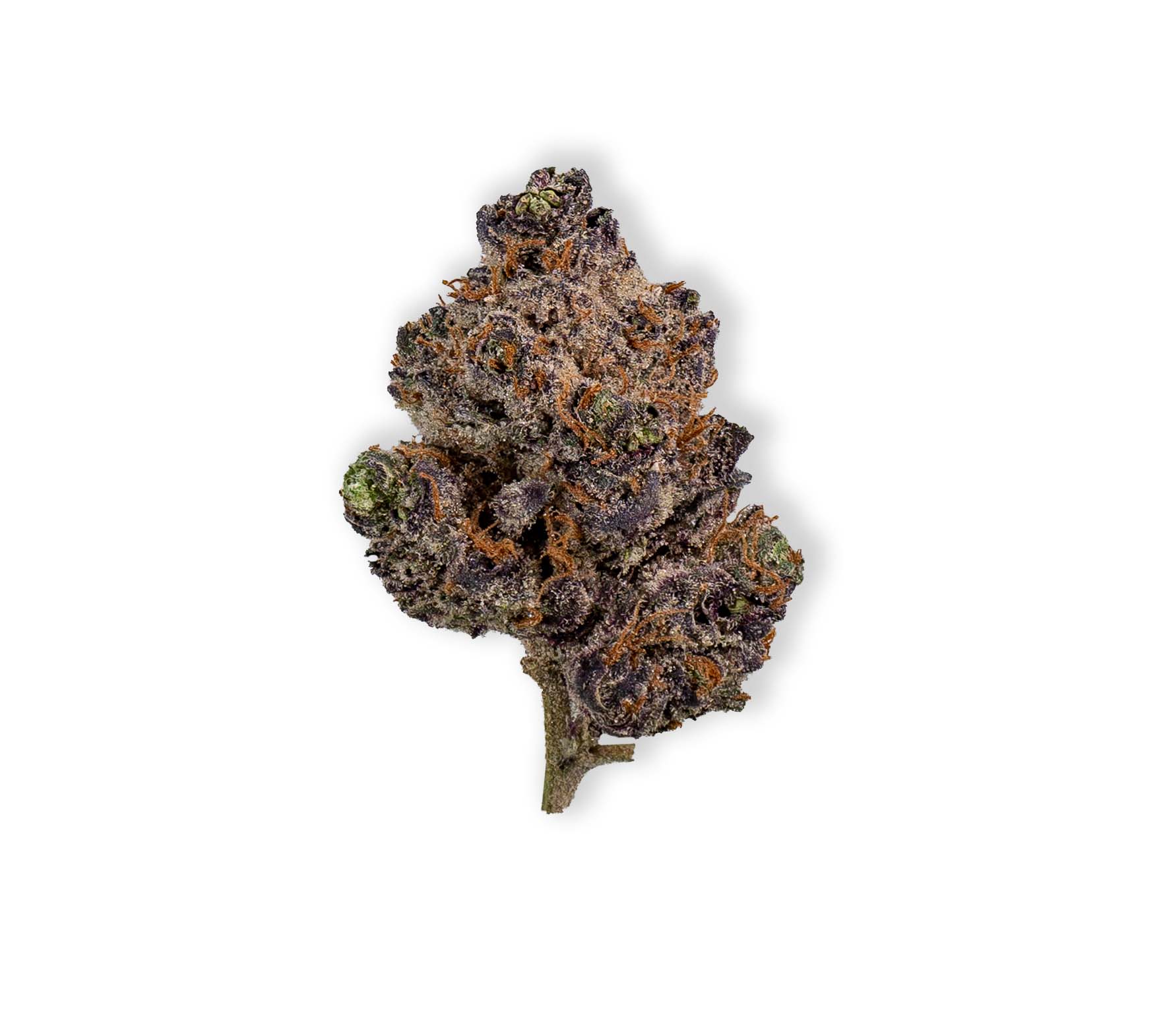 Jelly Runtz Retired Solar Cannabis Co.