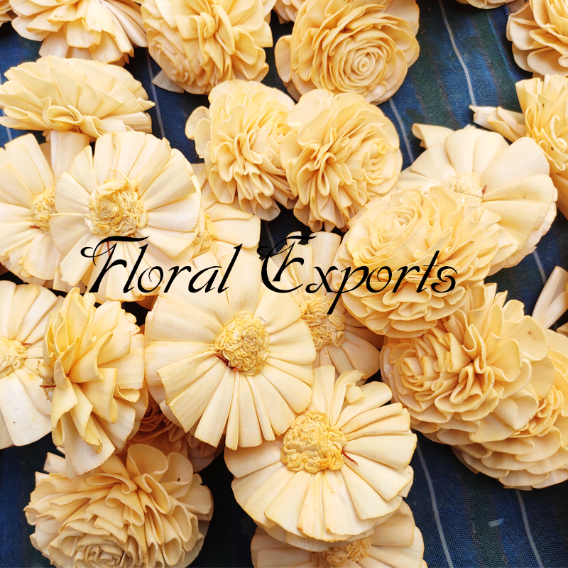 Sola Wood Flowers Color & Stemming Sola Wood Flowers Weddings