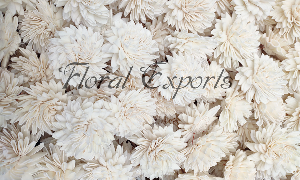 Sola Wood Flowers Bulk Packaging Sola Wood Flowers Weddings