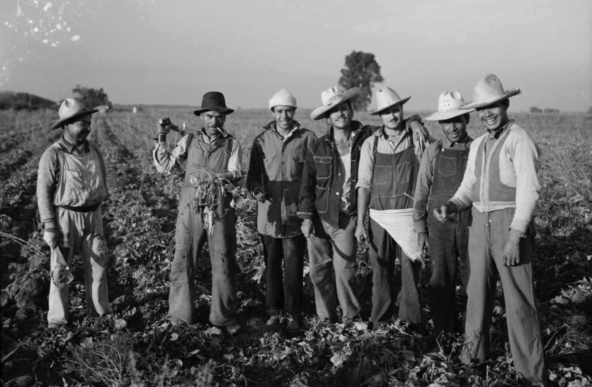 LA GRAN ESTAFA DEL GOBIERNO A LOS BRACEROS Sol Campeche