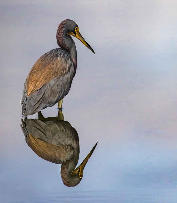 Reflections, Appreciations, and Intentions Sol Center