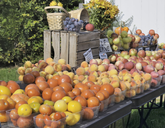 Where to Get California’s Freshest Produce Soldavi Realty