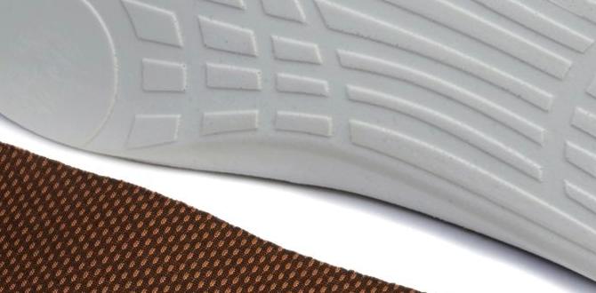 arch support insole basics arch support insole basics