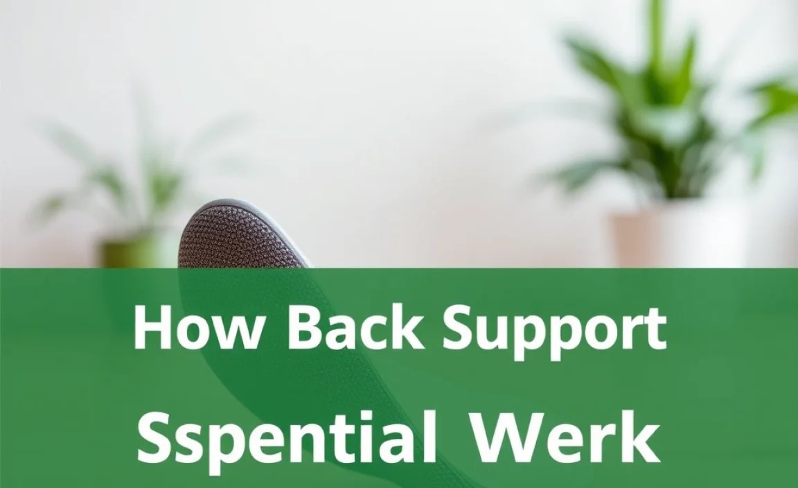 How Lower Back Support Insoles Work