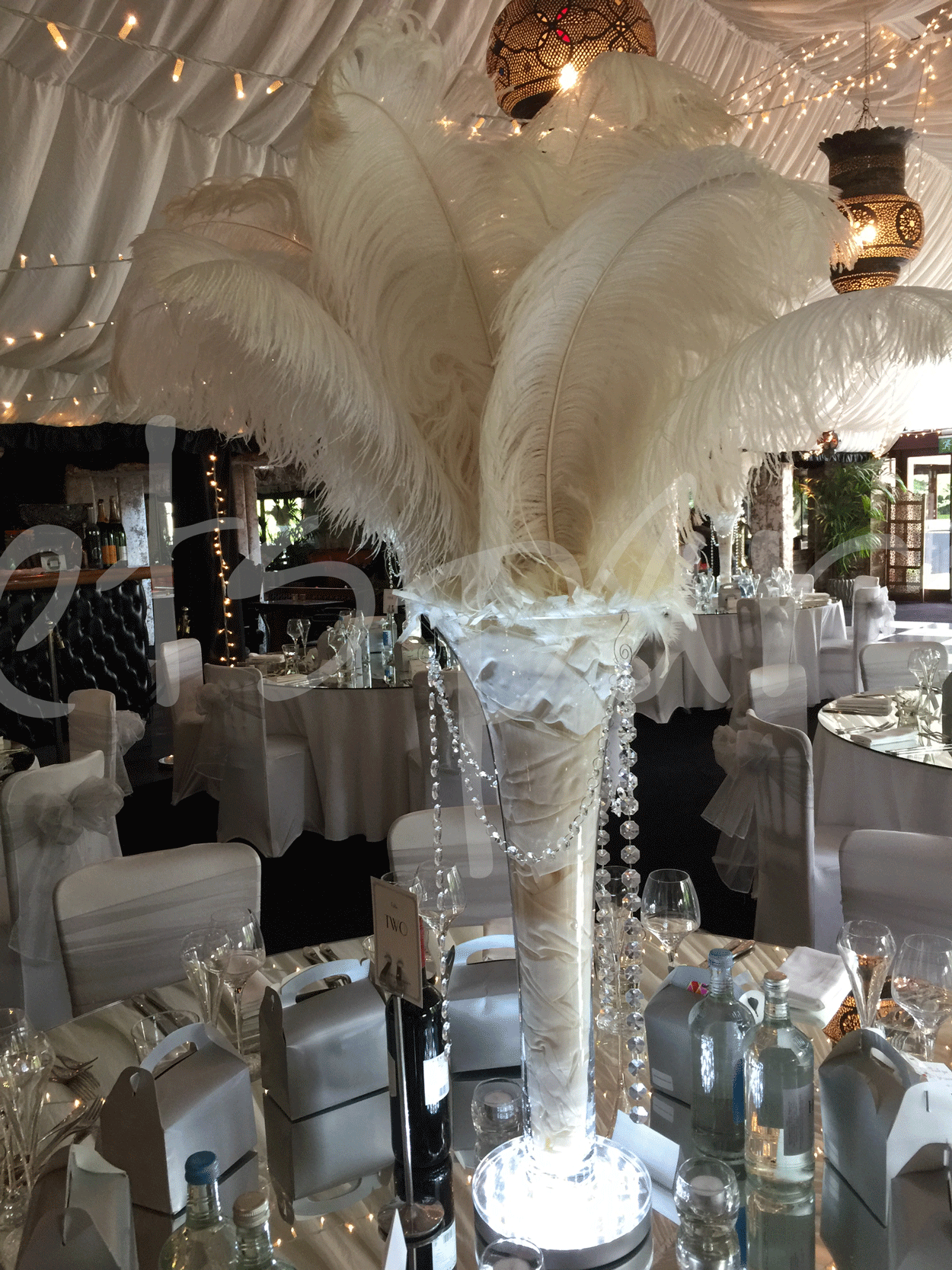 Extra Large Ostrich Feather Decoration So Lets Party