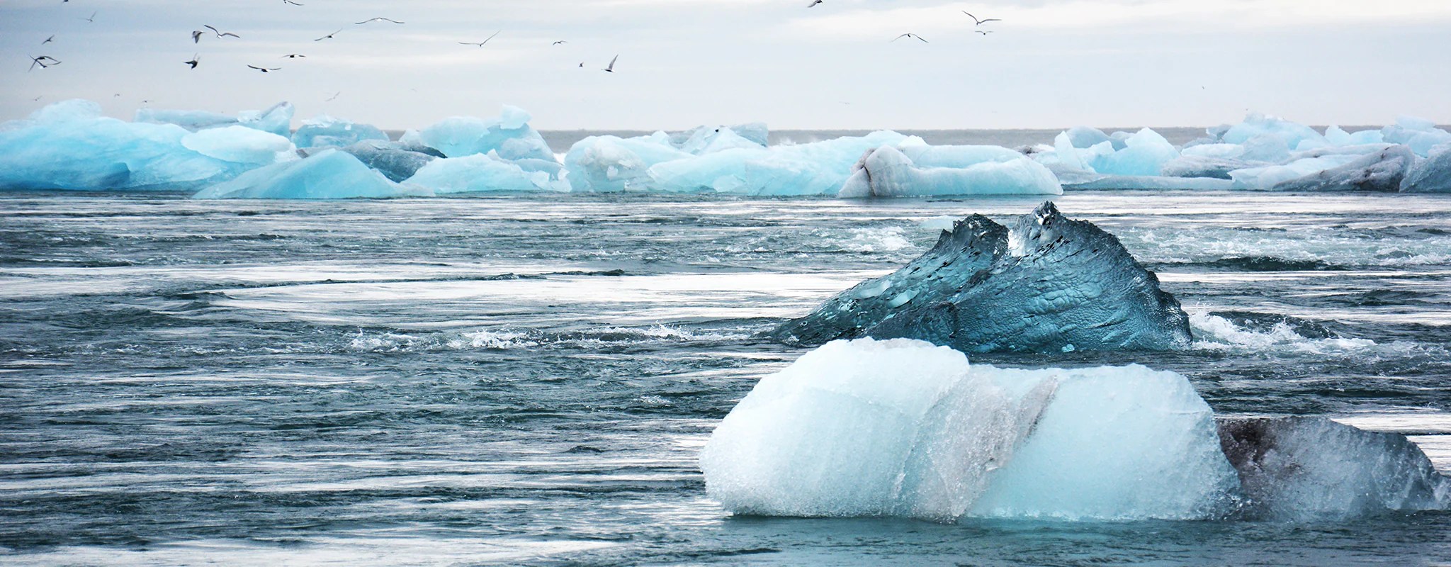 Headlines Climate Change News You Need to Know Solgaard
