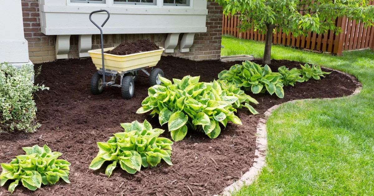 5 Reasons to Use Mulch During The Fall Solicito & Son Contracting