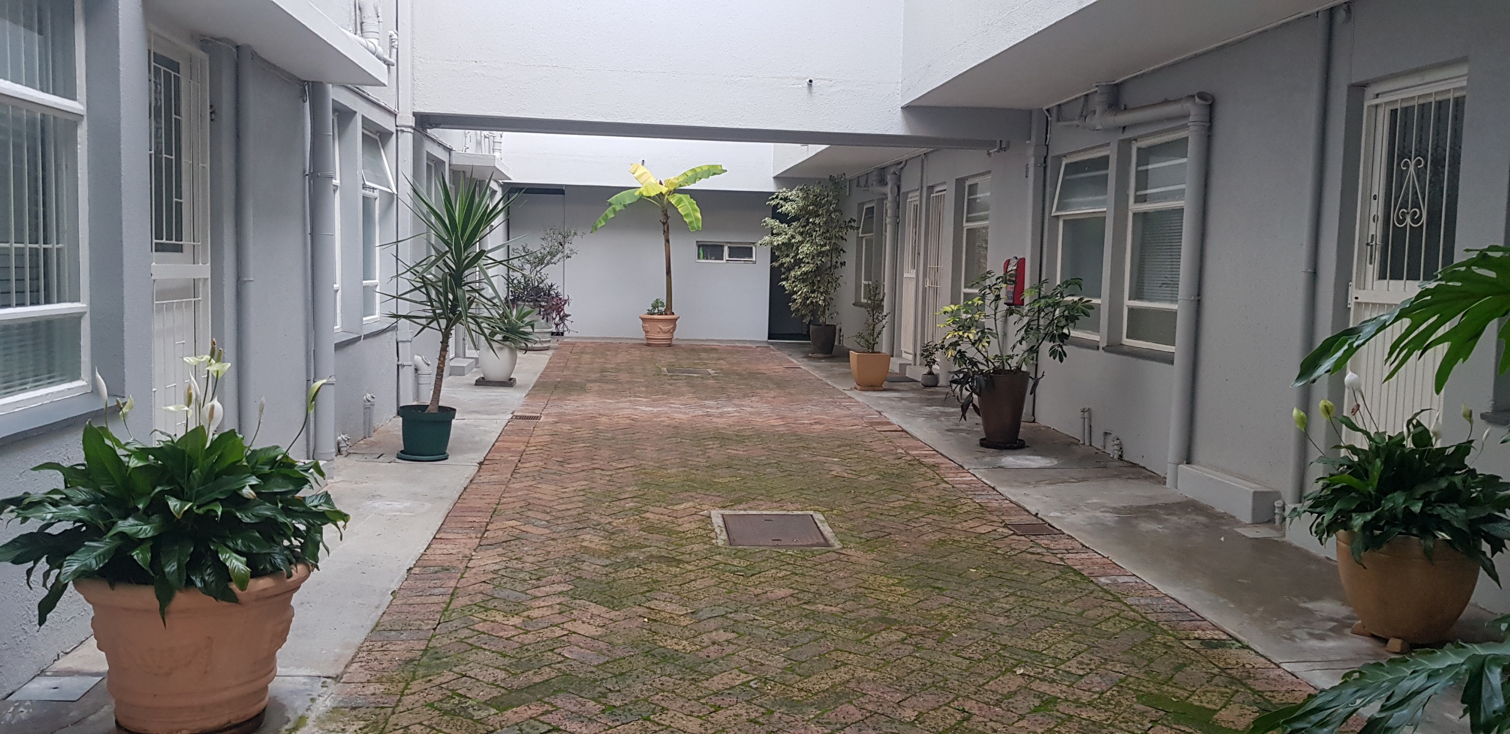 * R 6 500.00 PM * Beautiful Petite 1 Bedroom 1 Bathroom 1 Covered