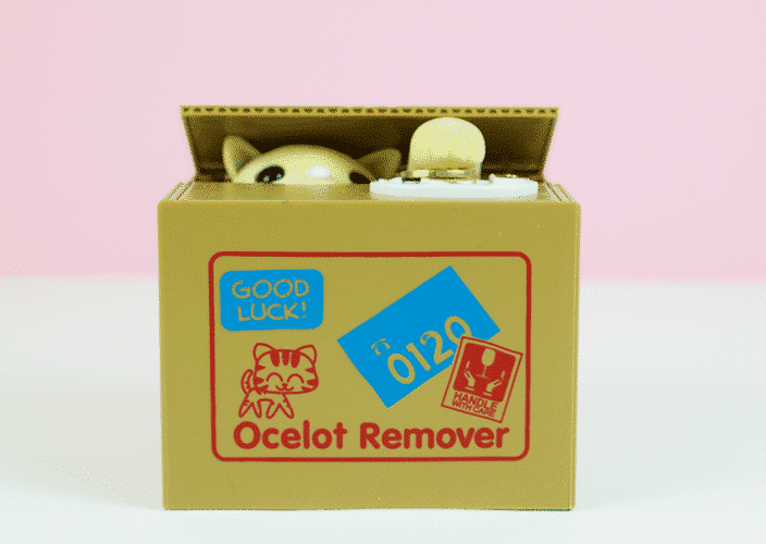 Buy Kitten Coin Thief Piggy Bank • SOLIDPOP