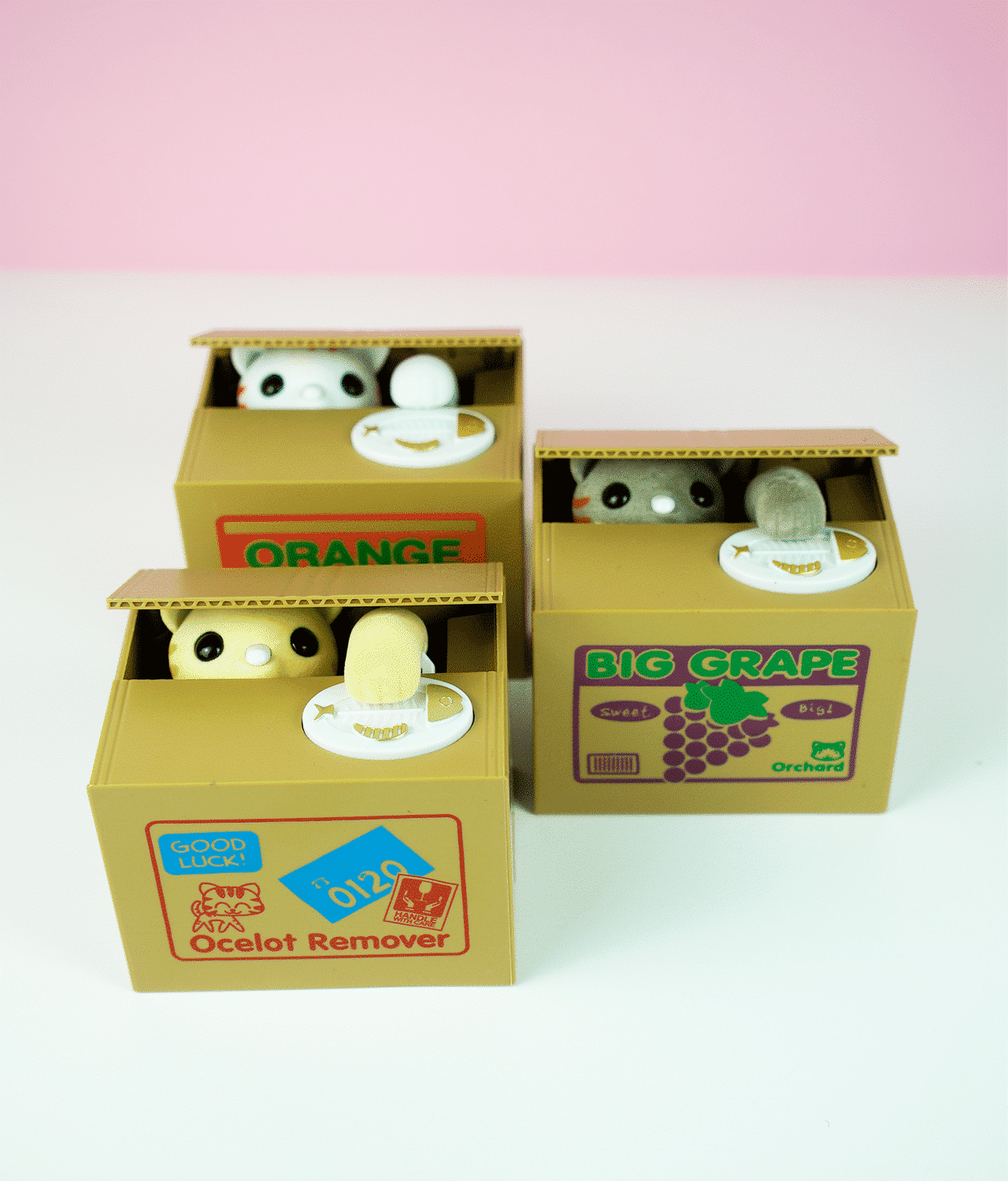 Buy Kitten Coin Thief Piggy Bank • SOLIDPOP