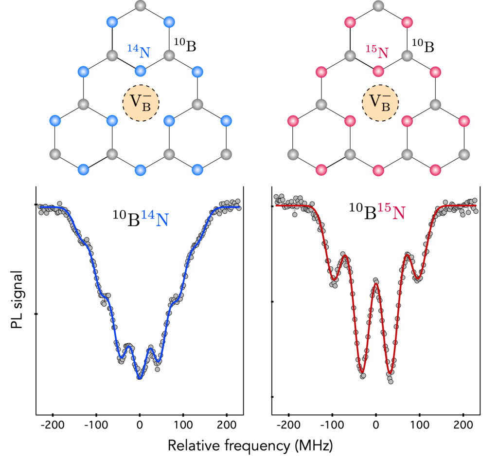 Published in Phys. Rev. Lett. Isotopic Control of the BoronVacancy