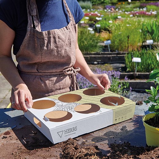 Plant Pot Trays Innovative Plant Pot Transportation Packaging