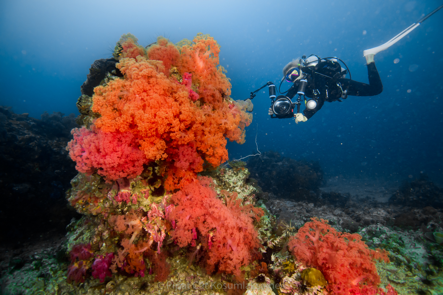 Solo Scuba Diving A Guide to Travel Alone Solitude World