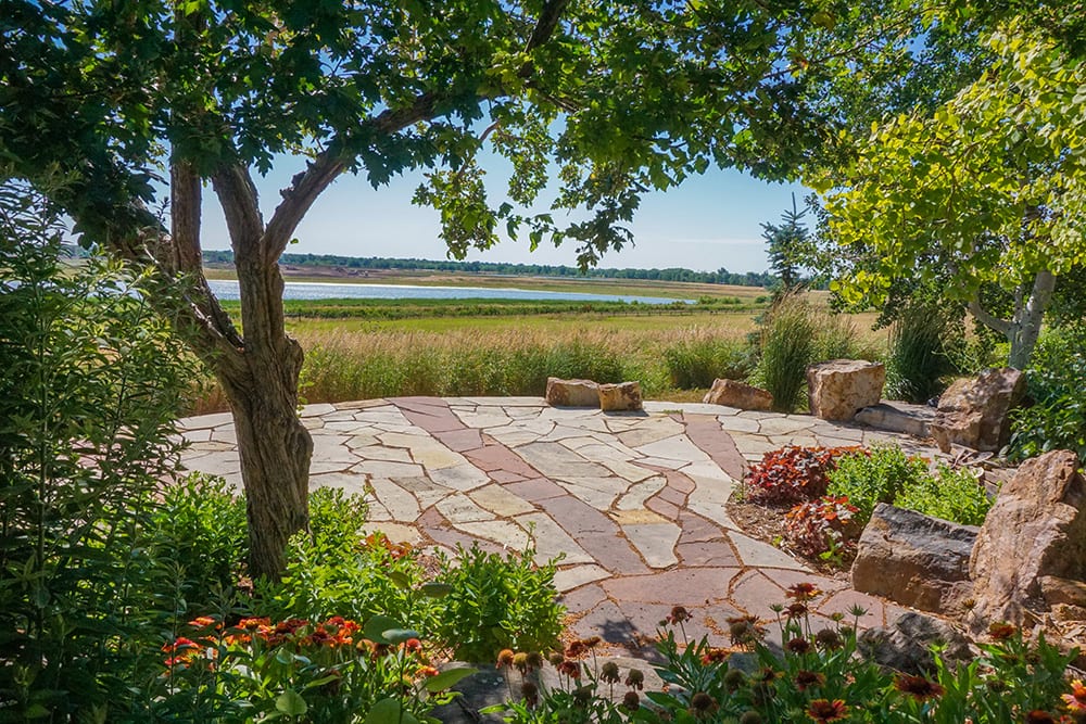 Low Maintenance Landscaping Ideas SOLMAUNA