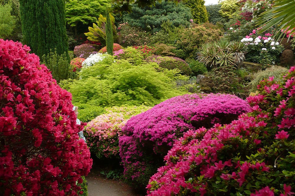 Benefits of Plant Diversity in Loveland, CO Solmauna Best Prices