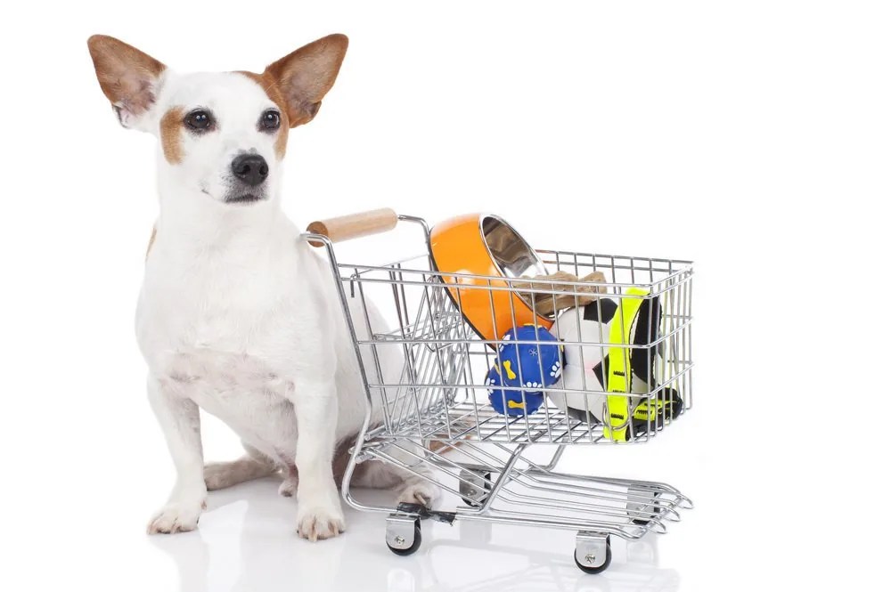 Pet Supplies China Free Shipping at David Talley blog