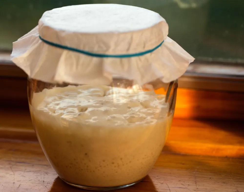 How To Keep Sourdough Starter Warm Tips for Nurturing Coziness and