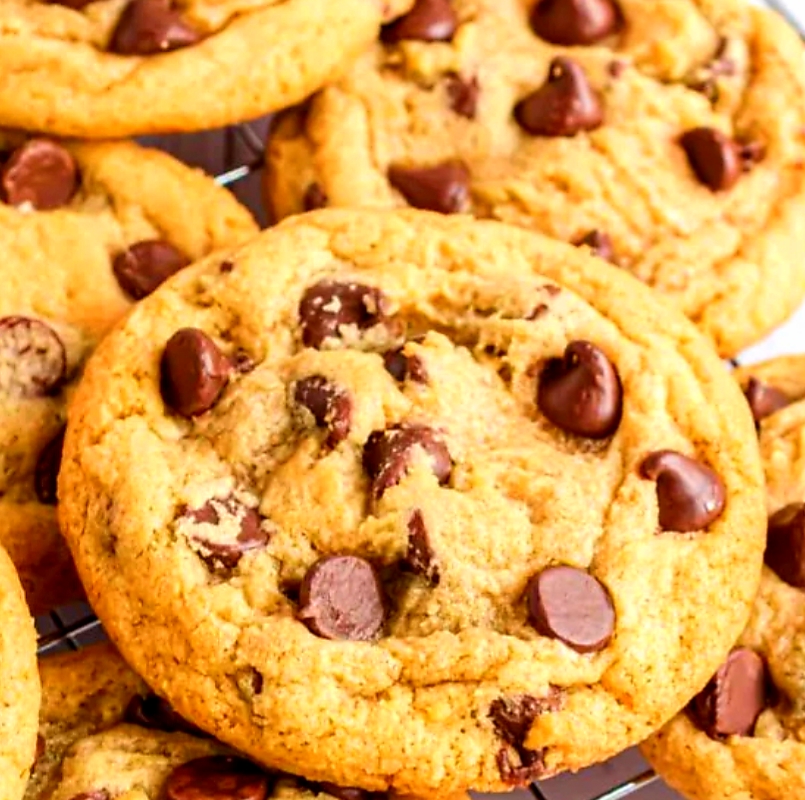 Gallery Solo Burgers &Wings